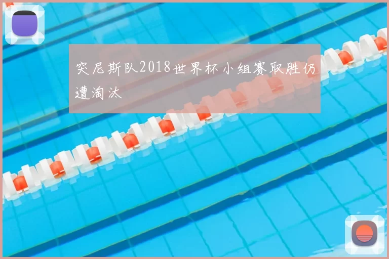 突尼斯队2018世界杯小组赛取胜仍遭淘汰