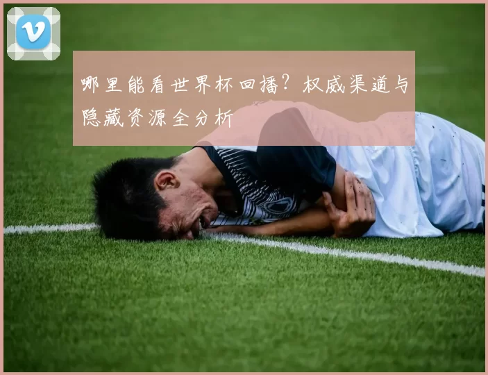 哪里能看世界杯回播？权威渠道与隐藏资源全分析