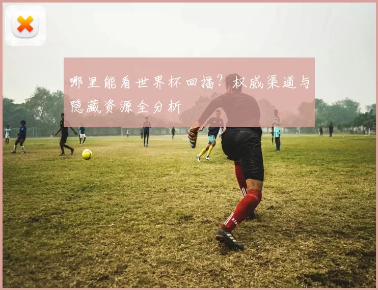 哪里能看世界杯回播？权威渠道与隐藏资源全分析