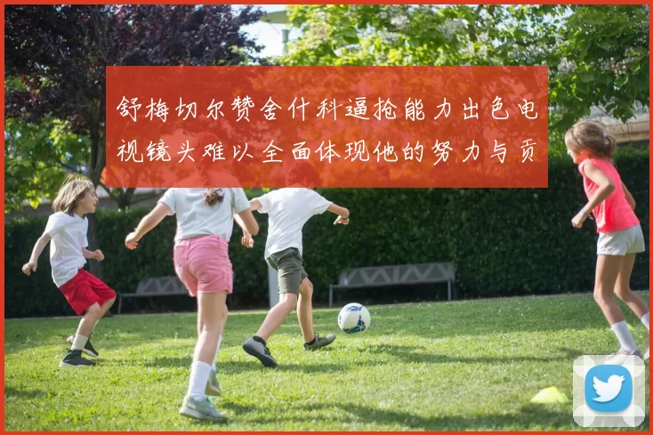 舒梅切尔赞舍什科逼抢能力出色电视镜头难以全面体现他的努力与贡献