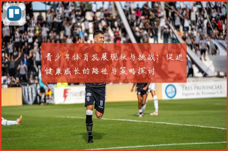 青少年体育发展现状与挑战：促进健康成长的路径与策略探讨