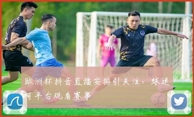 欧洲杯抖音直播安排引关注，球迷可平台观看赛事