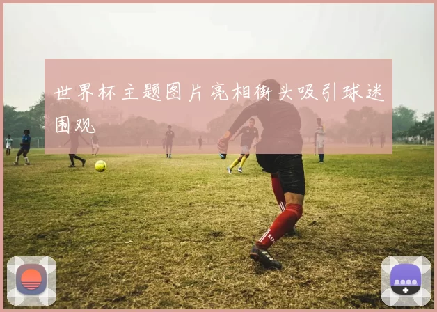 世界杯主题图片亮相街头吸引球迷围观
