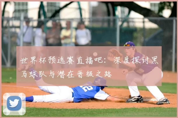 世界杯预选赛直播吧：深度探讨黑马球队与潜在晋级之路