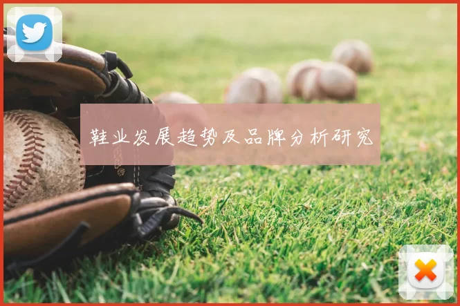 鞋业发展趋势及品牌分析研究