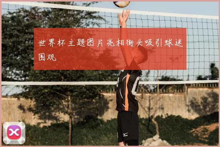 世界杯主题图片亮相街头吸引球迷围观