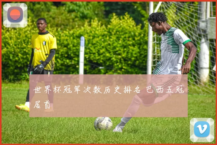世界杯冠军次数历史排名 巴西五冠居首
