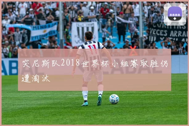 突尼斯队2018世界杯小组赛取胜仍遭淘汰
