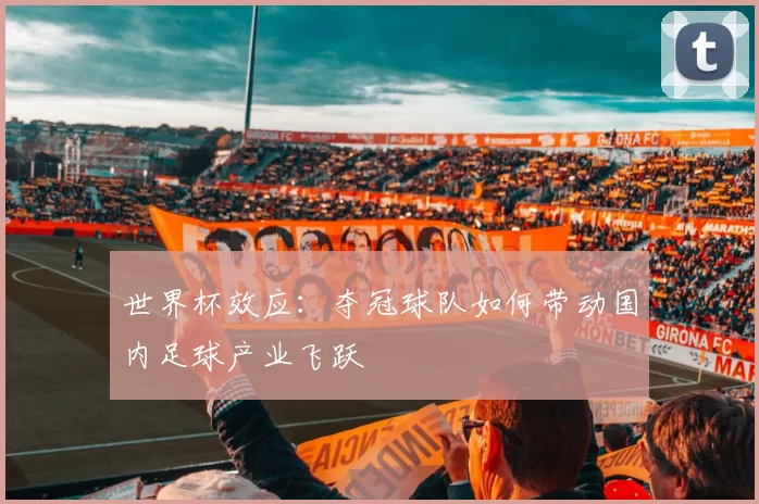 世界杯效应:夺冠球队如何带动国内足球产业飞跃