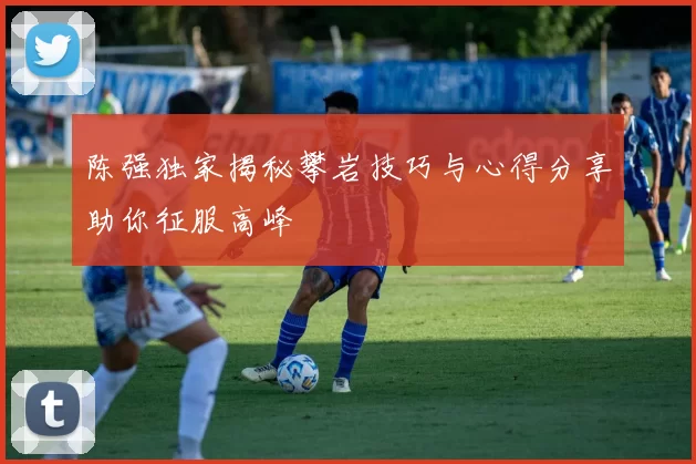 陈强独家揭秘攀岩技巧与心得分享助你征服高峰