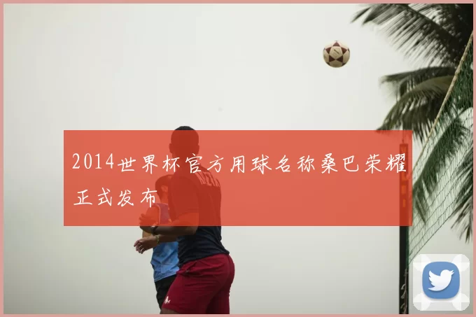 2014世界杯官方用球名称桑巴荣耀正式发布