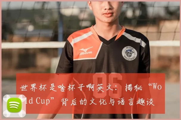 世界杯是啥杯子啊英文：揭秘“World Cup”背后的文化与语言趣谈