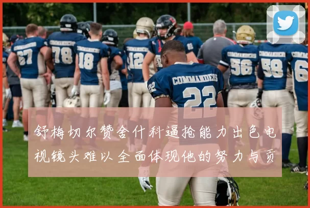 舒梅切尔赞舍什科逼抢能力出色电视镜头难以全面体现他的努力与贡献