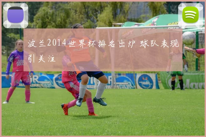 波兰2014世界杯排名出炉 球队表现引关注