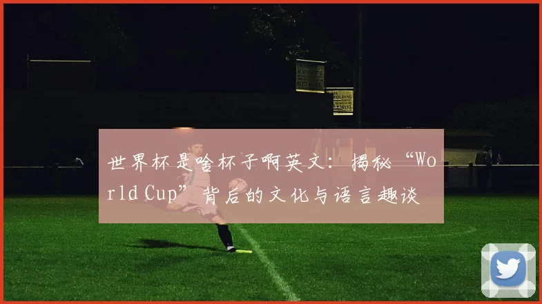 世界杯是啥杯子啊英文：揭秘“World Cup”背后的文化与语言趣谈