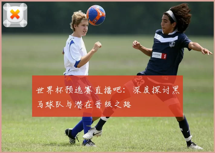世界杯预选赛直播吧：深度探讨黑马球队与潜在晋级之路